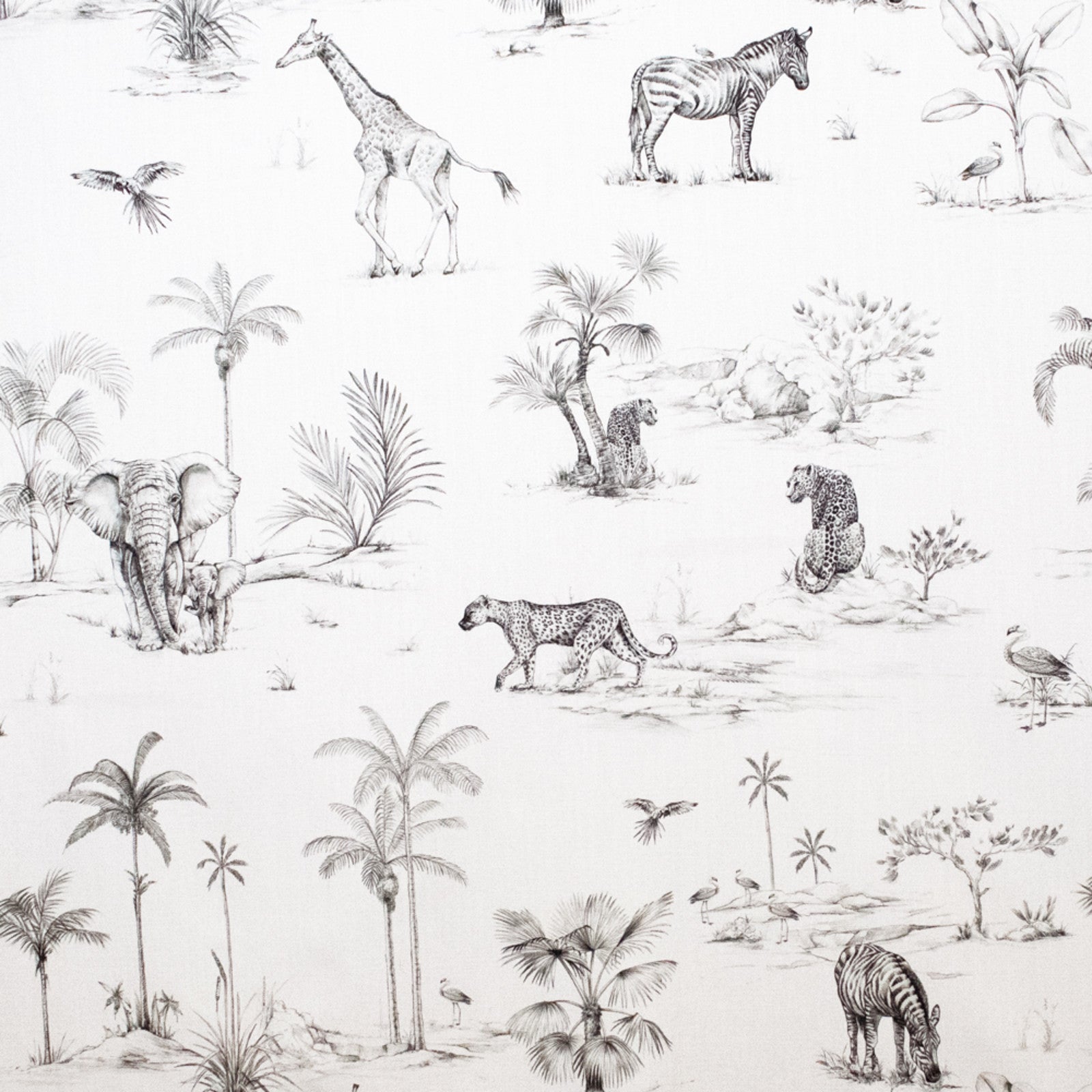 Purchase Greenhouse Fabric S5483 Ivory/Ebony
