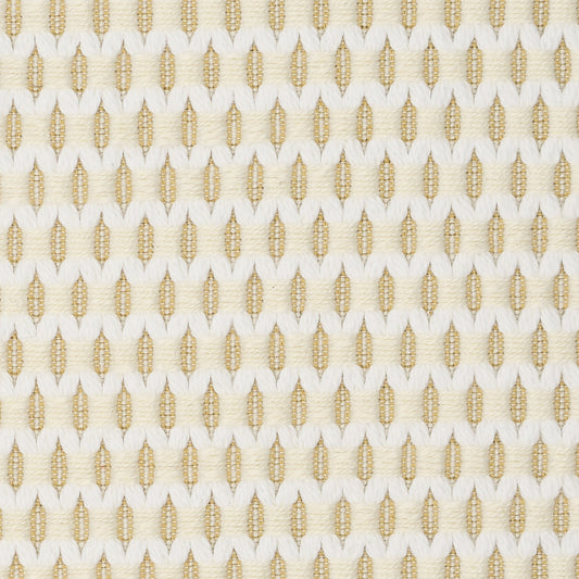 Purchase Greenhouse Fabric S5520 Snowy