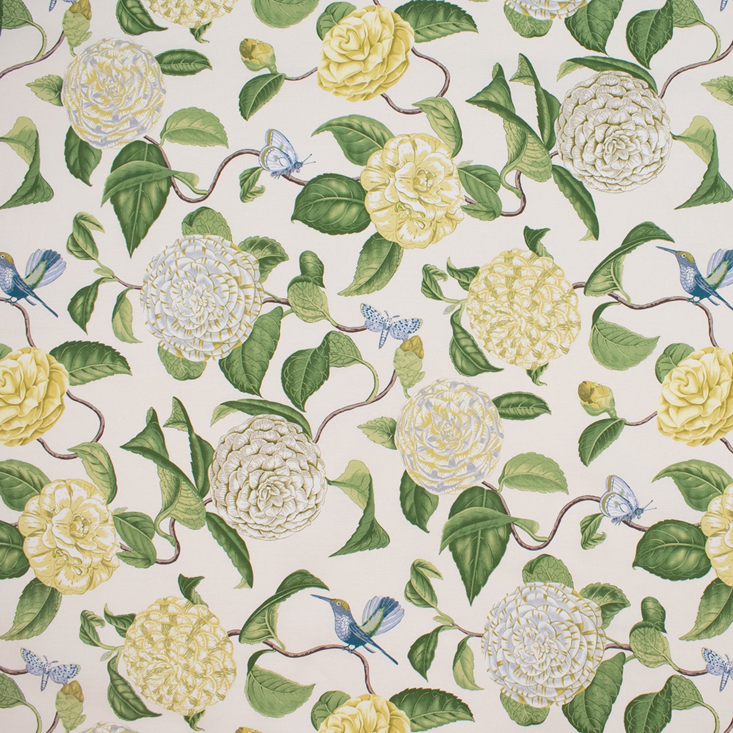 Purchase Greenhouse Fabric S5759 Oasis