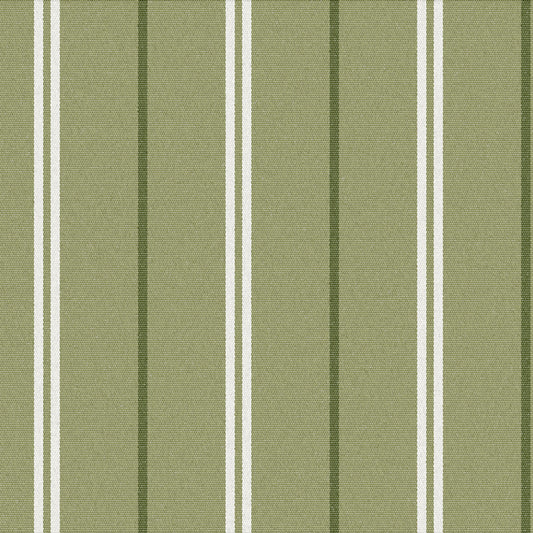Purchase Greenhouse Fabric S6297 Fern