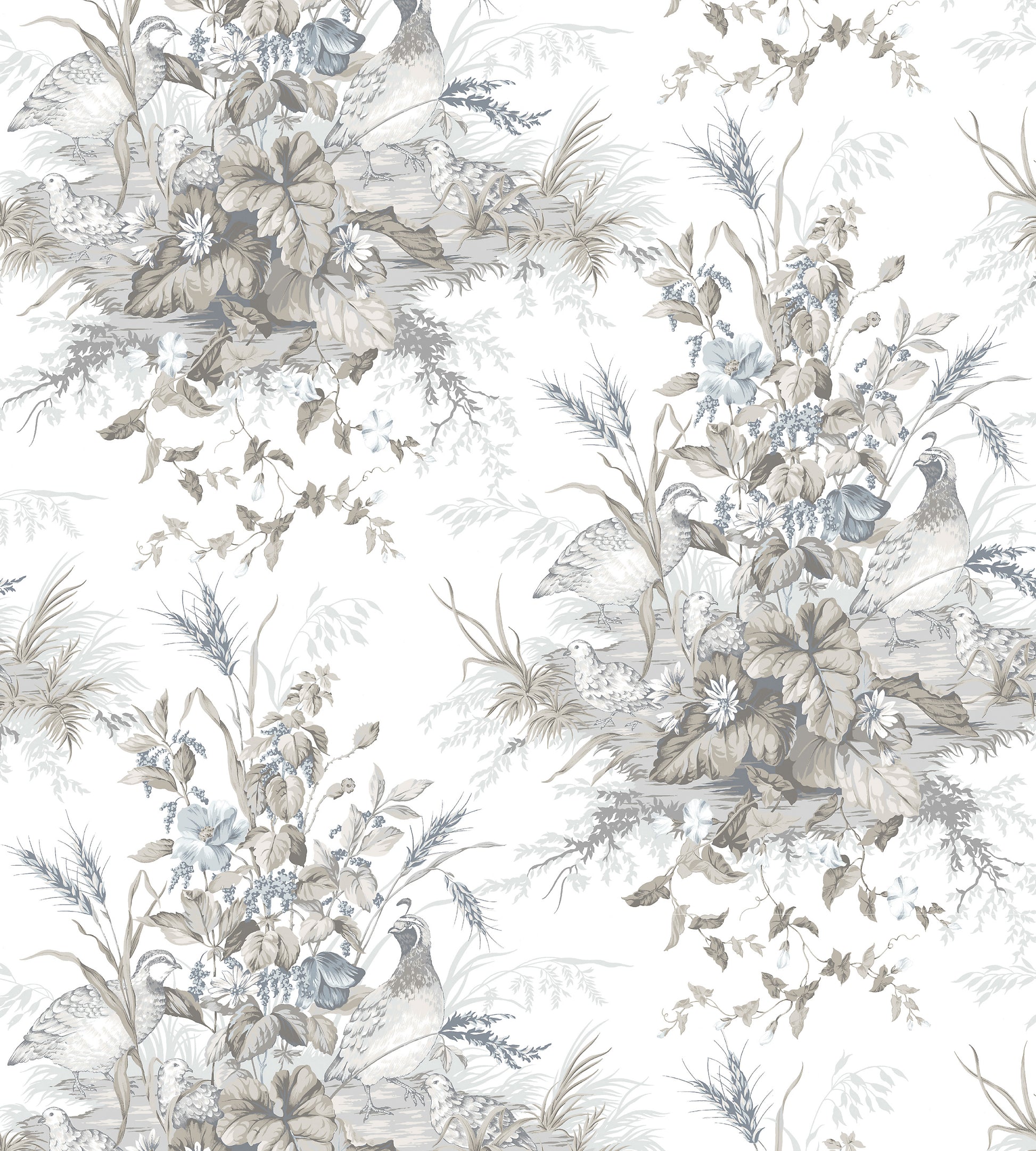 Order Scalamandre Wallpaper Pattern Sc 0001Wp88434 Name Edwin'S Covey Grisaille Bird Wallpaper