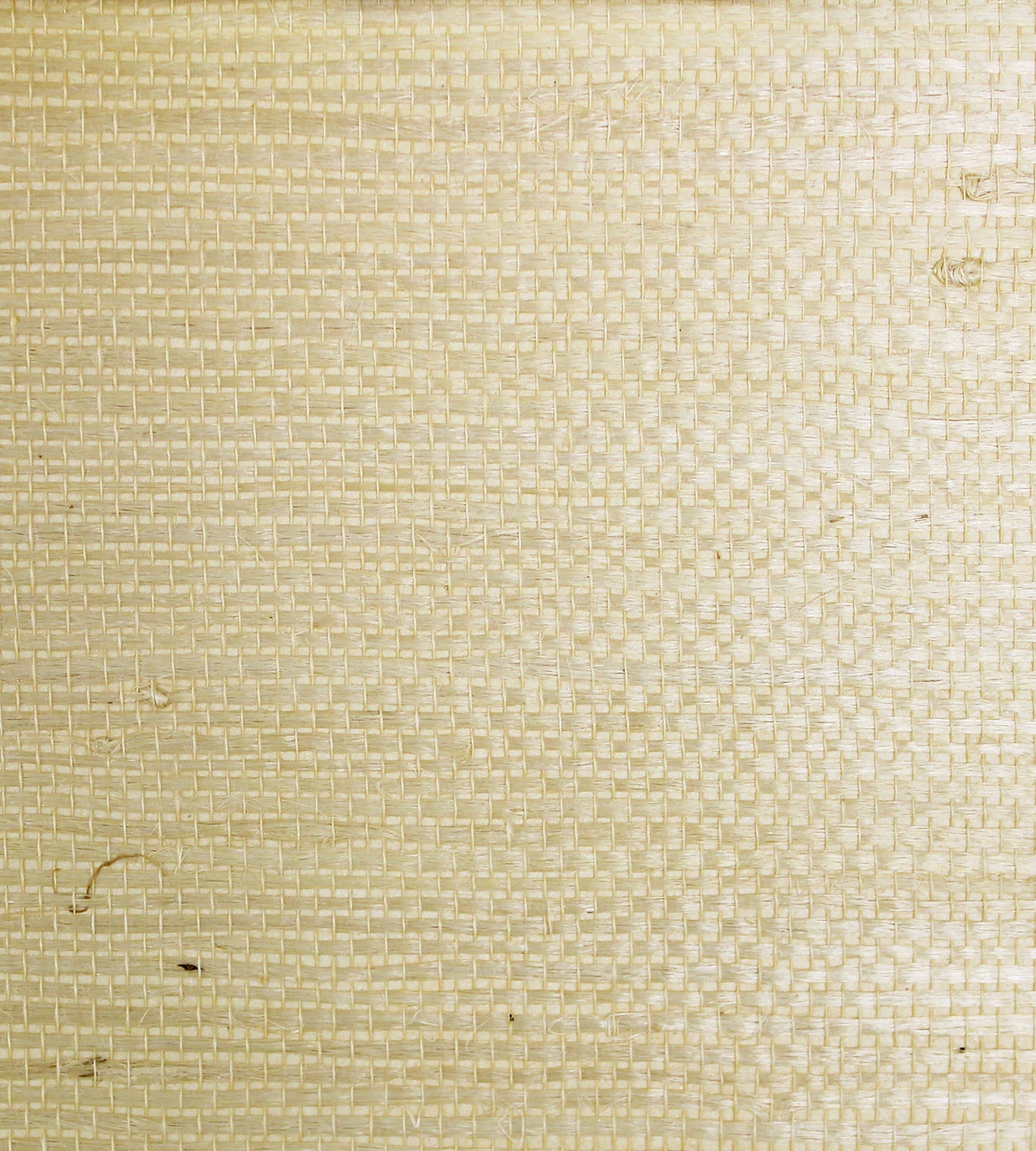 Search Scalamandre Wallpaper Pattern Sc 0002G1195 Name Tightweave Jute Tan Texture Wallpaper