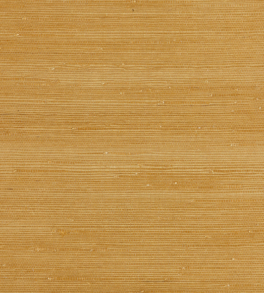 Buy Scalamandre Wallpaper Pattern Sc 0002Wp88343 Name Textured Sisal Saffron Texture Wallpaper