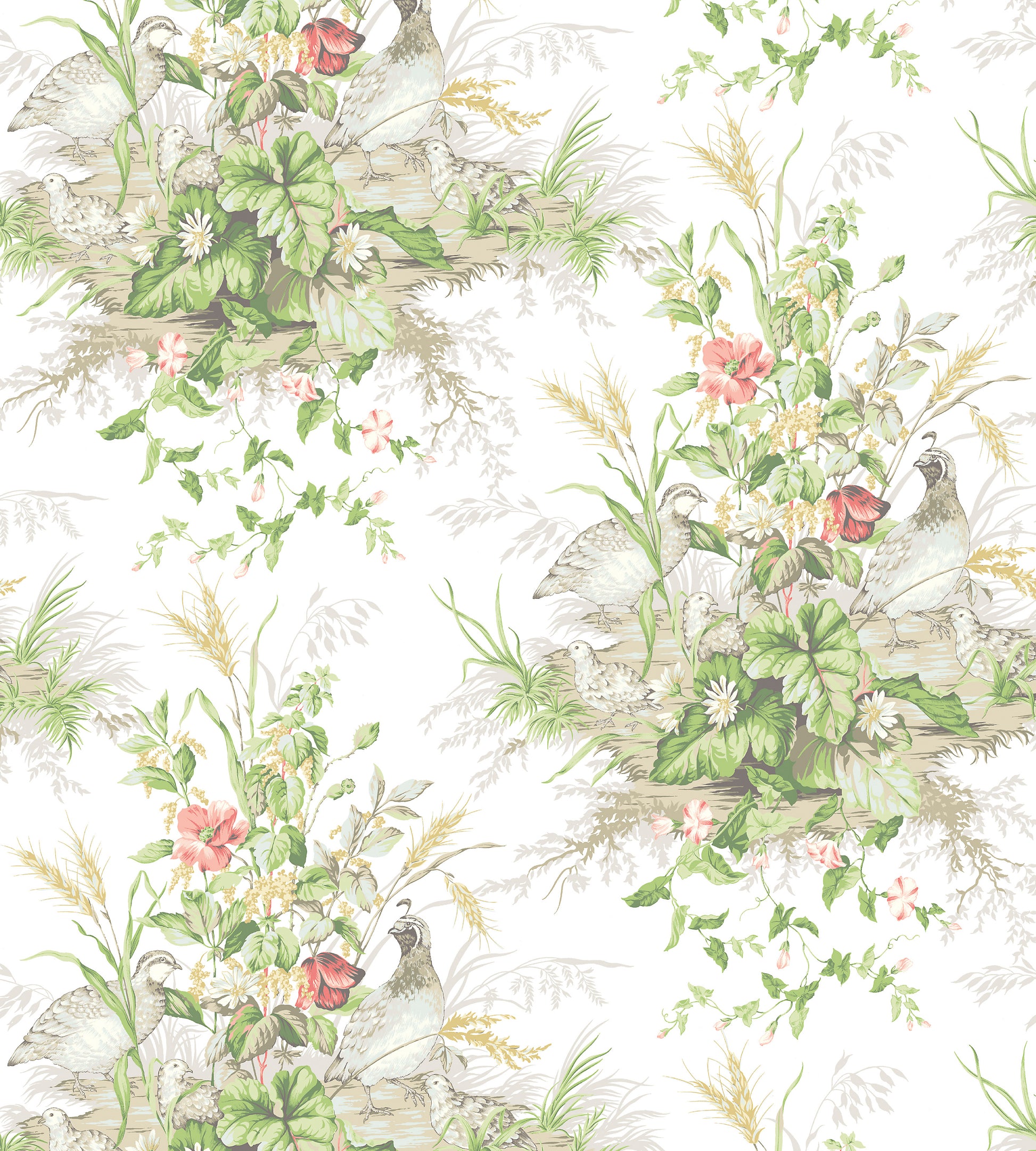 Acquire Scalamandre Wallpaper Pattern Sc 0002Wp88434 Name Edwin'S Covey Prairie Bird Wallpaper