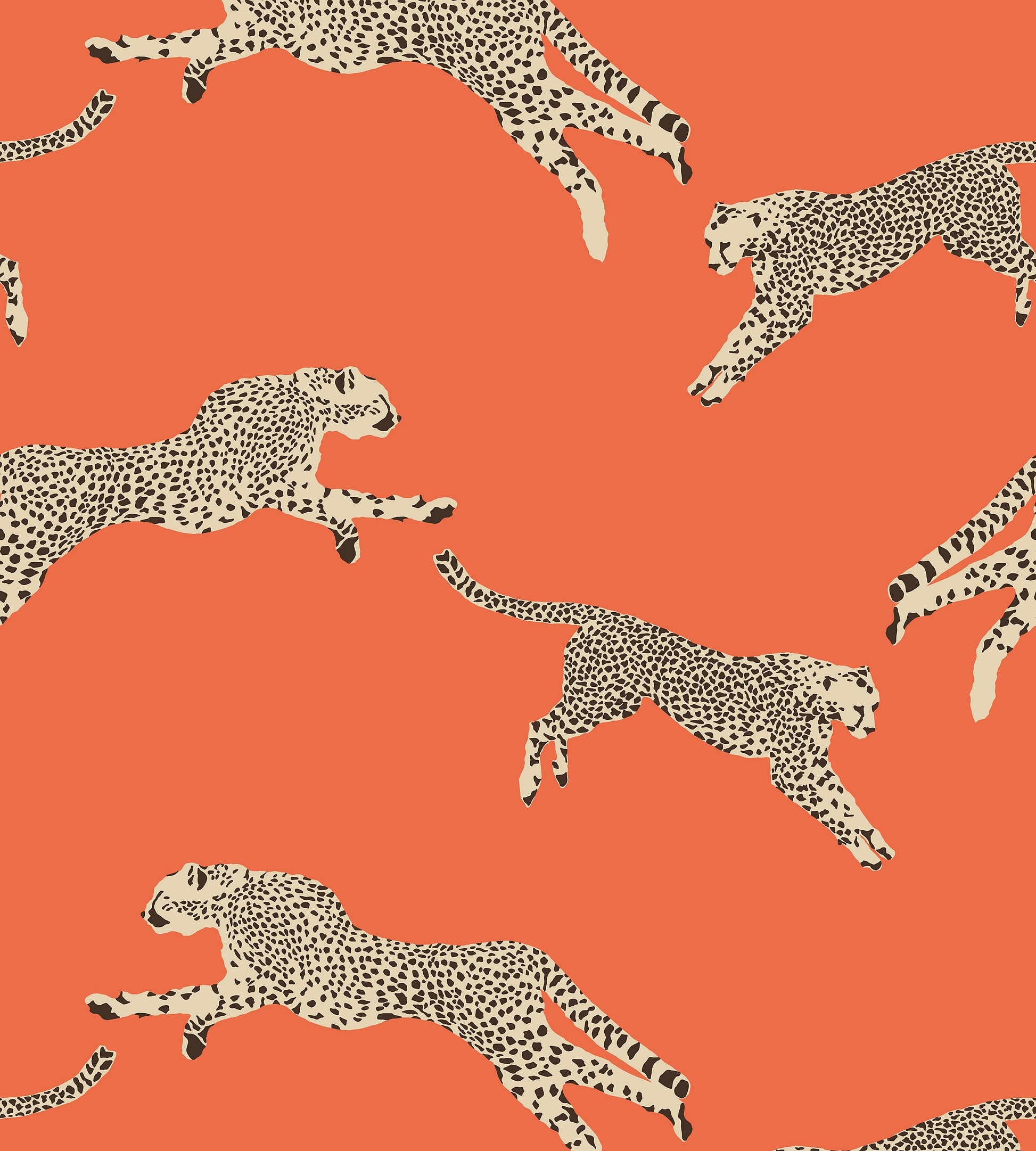Looking Scalamandre Wallpaper Pattern Sc 0002Wp88449Ps Name Leaping Cheetah - Removable Clementine Bird Wallpaper