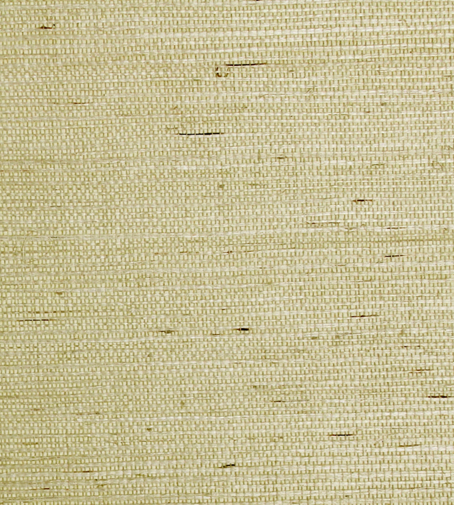 Find Scalamandre Wallpaper Pattern Sc 0003G1193 Name Sisal Wheat Texture Wallpaper