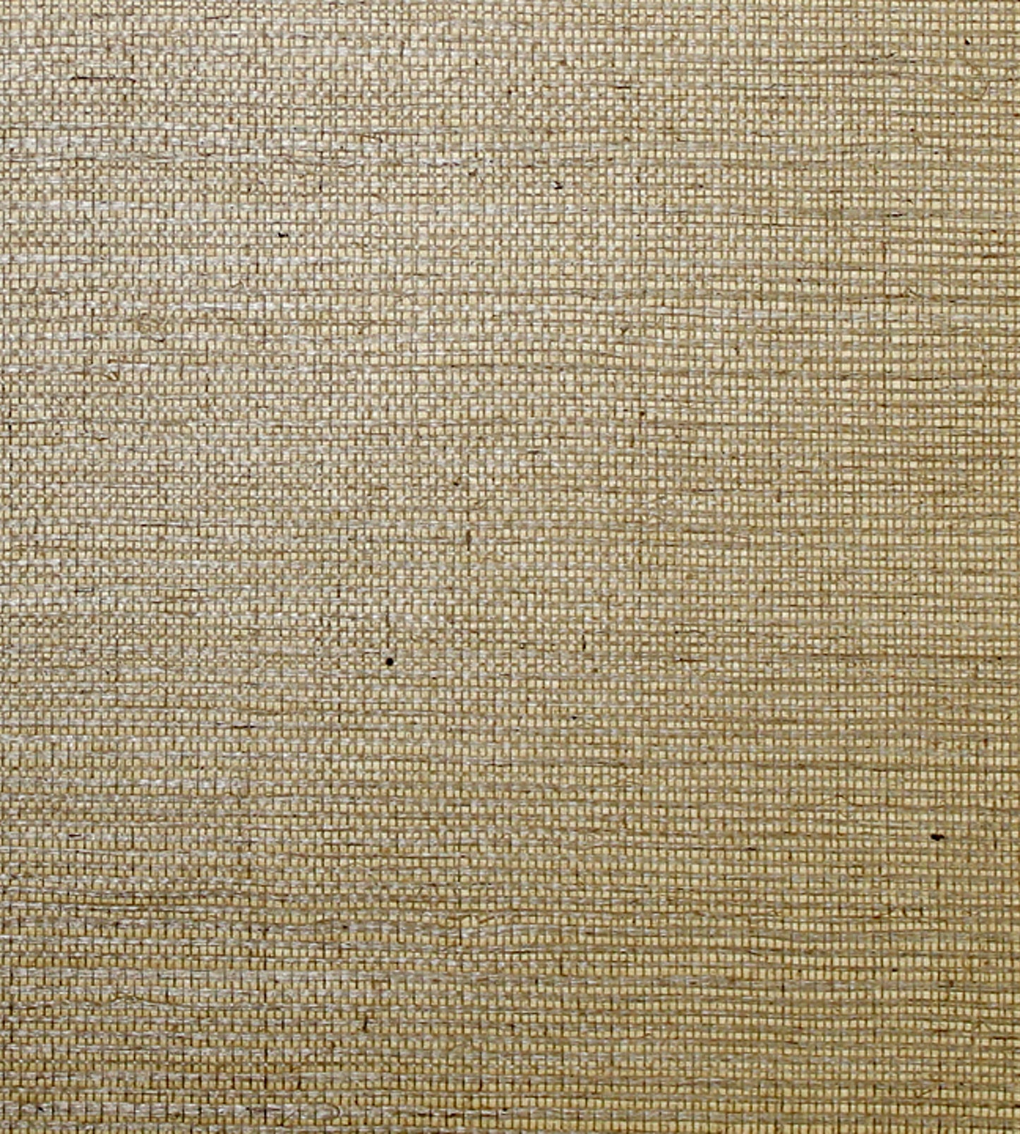 Shop Scalamandre Wallpaper Pattern Sc 0004G1193 Name Sisal Acorn Texture Wallpaper