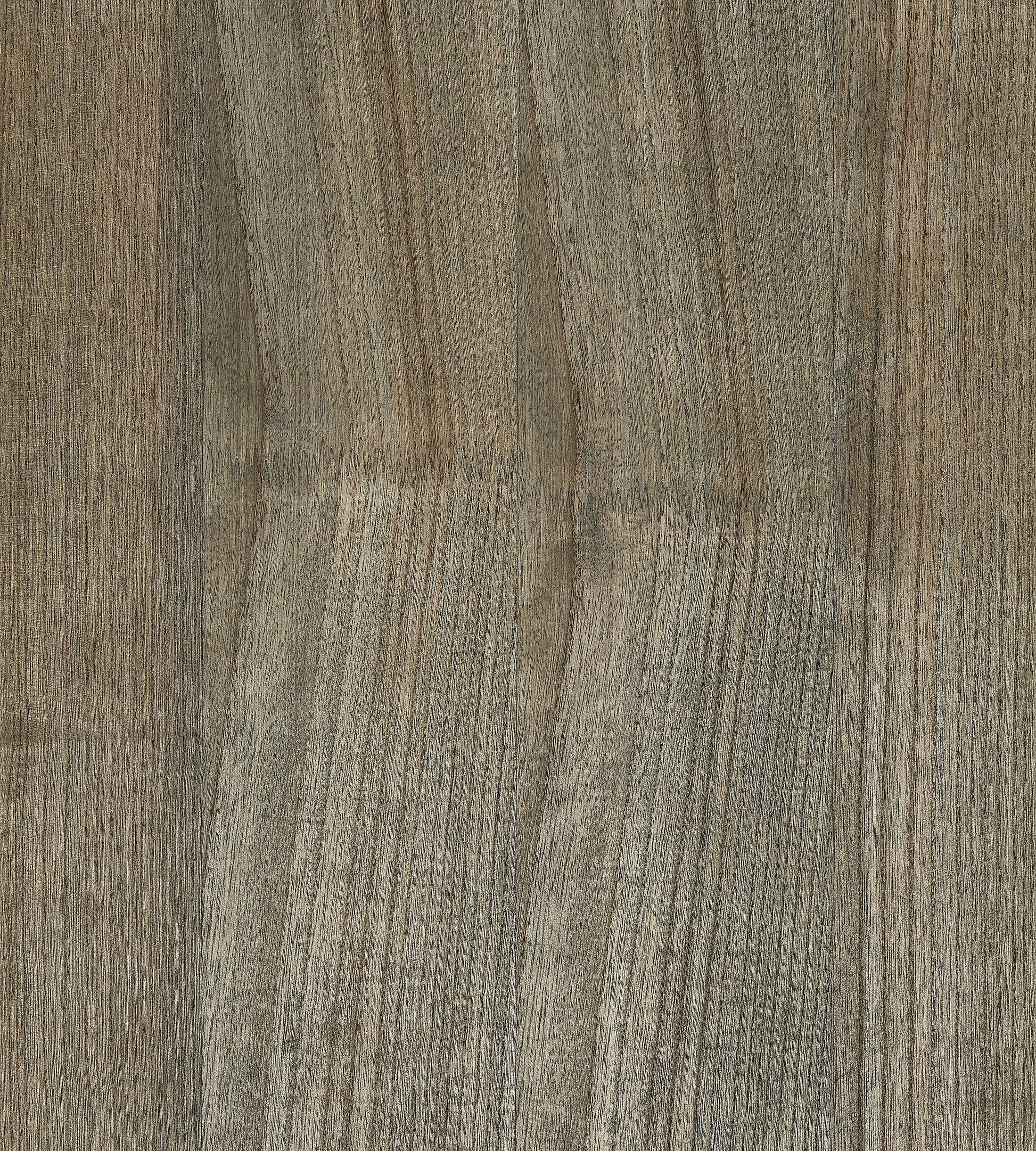 Save Scalamandre Wallpaper Pattern Sc 0004Wp88478 Name Woodgrain Shark Texture Wallpaper
