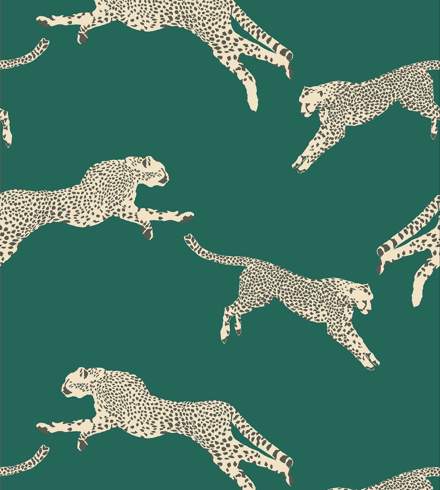 Purchase Scalamandre Wallpaper Pattern Sc 0005Wp88449 Name Leaping Cheetah Evergreen Bird Wallpaper