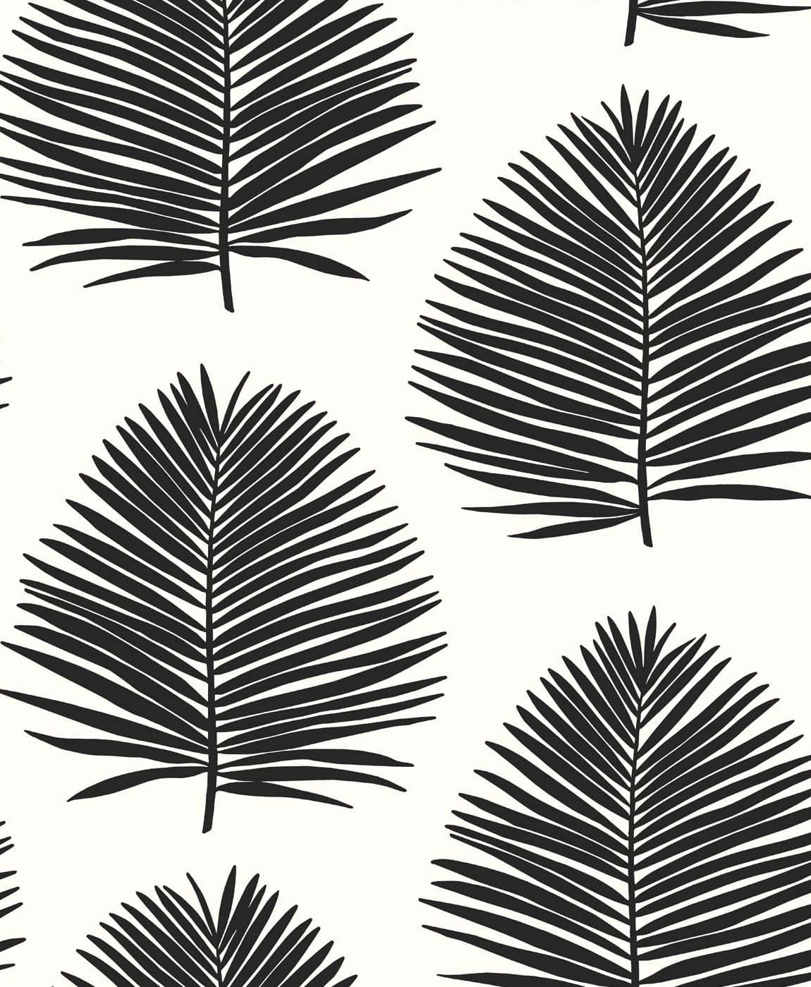 SL80720 | Island Palm, Black - Seabrook Designs Wallpaper