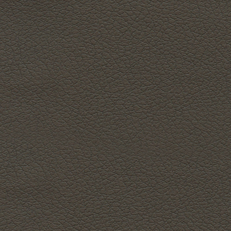 Purchase sample of 303-3913 Brisa, Truffle by Schumacher Fabric