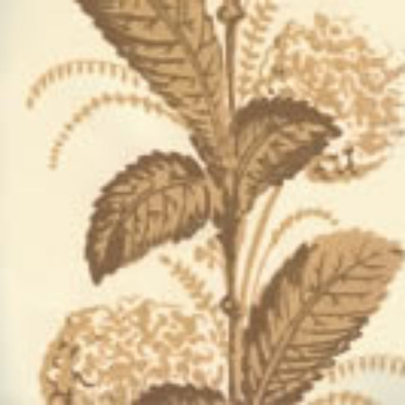 Sample 303300WP Climbing Hydrangea, Taupe on Almost White by Quadrille Wallpaper