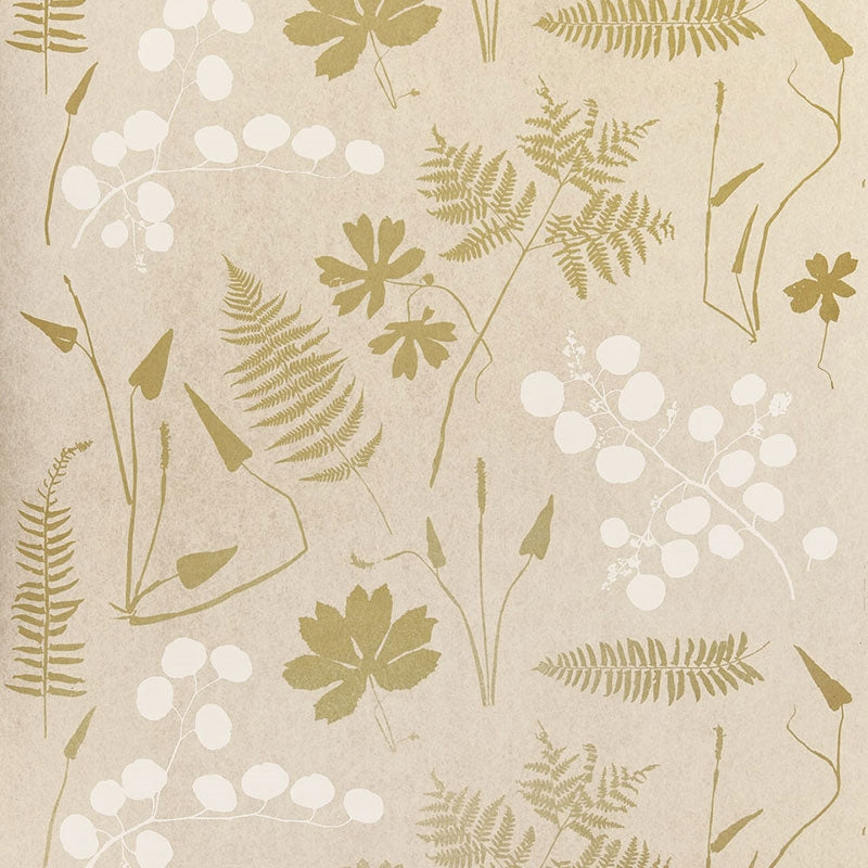 Acquire 5005010 Modern Botanical Parchment Schumacher Wallpaper