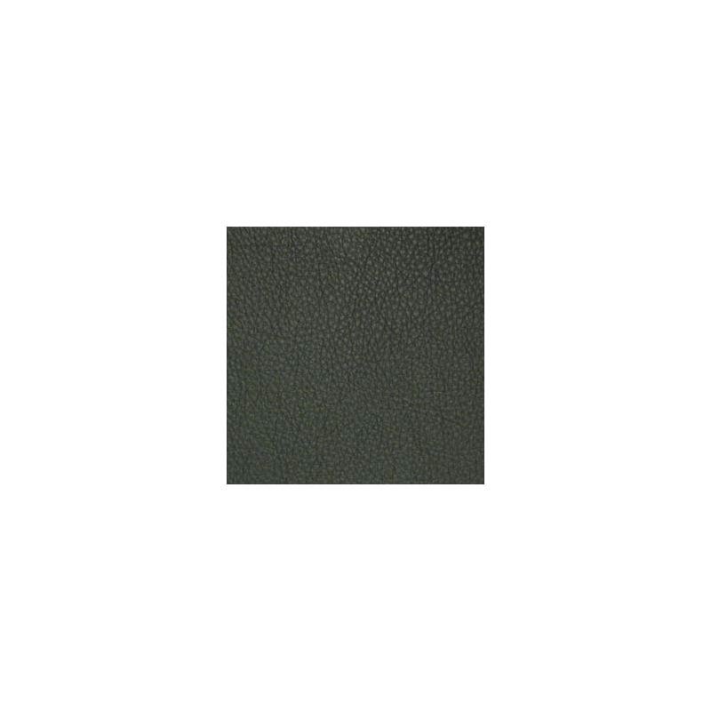 CDA039 | Classic Spruce by Maxwell Fabric