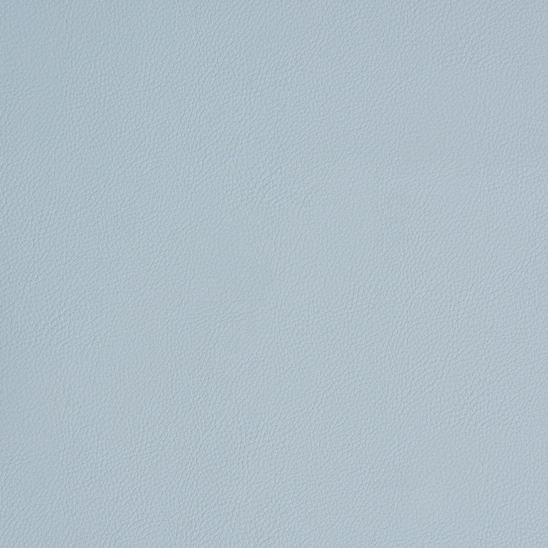 Purchase sample of 79556 Indoor/Outdoor Vegan Leather, Fog by Schumacher Fabric