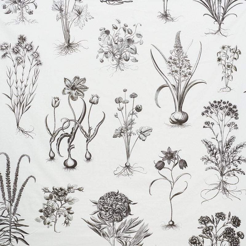 Purchase sample of 178740 Cabot Botanical Large, Ivory by Schumacher Fabric