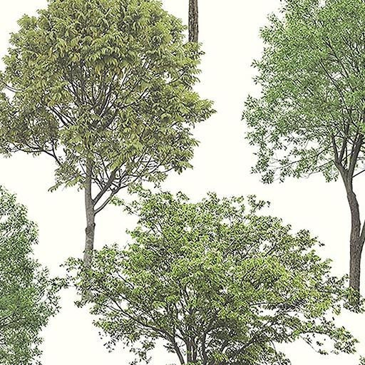 Find FD23278 Brewster Essentials Tree Tops Brewster Wallpaper