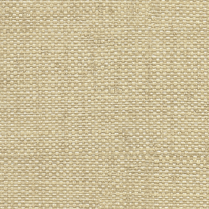 Sample 2758-8046 Textures and Weaves, Caviar Neutral Basketweave Wallpaper by Warner