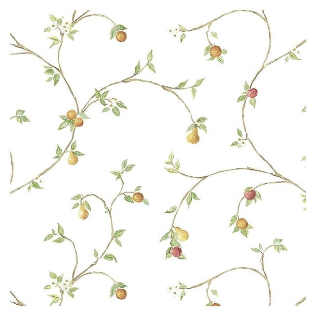 Search CK36607 Creative Kitchens Fruit Trail  by Norwall Wallpaper