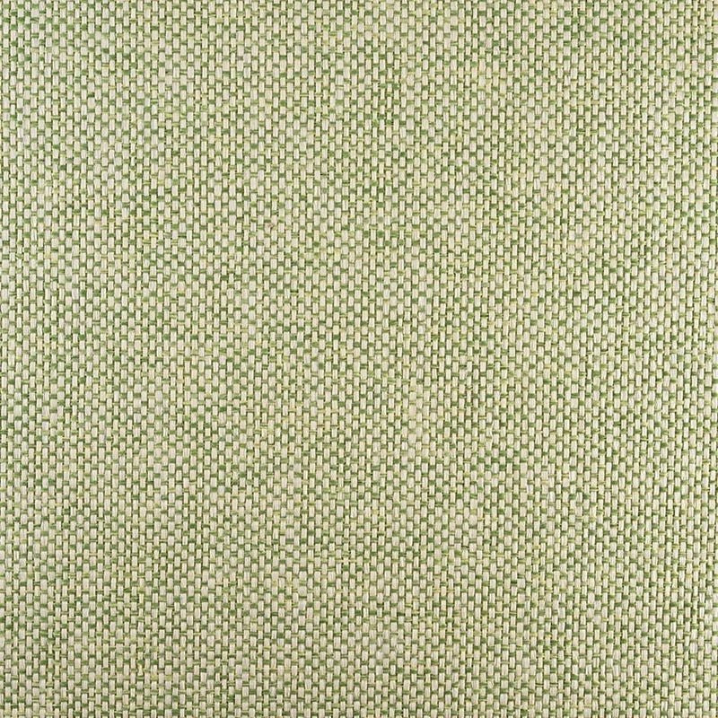 Purchase 3331 All Wound Up Chromatic Lime Zest Phillip Jeffries Wallpaper