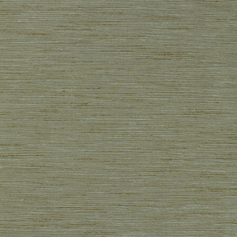 Purchase sample of 63892 Pozzo Weave, Seamist by Schumacher Fabric