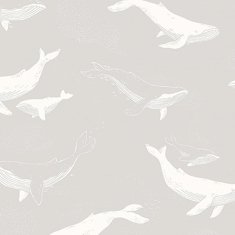 Order 7452 Whales Grey by Borastapeter Wallpaper