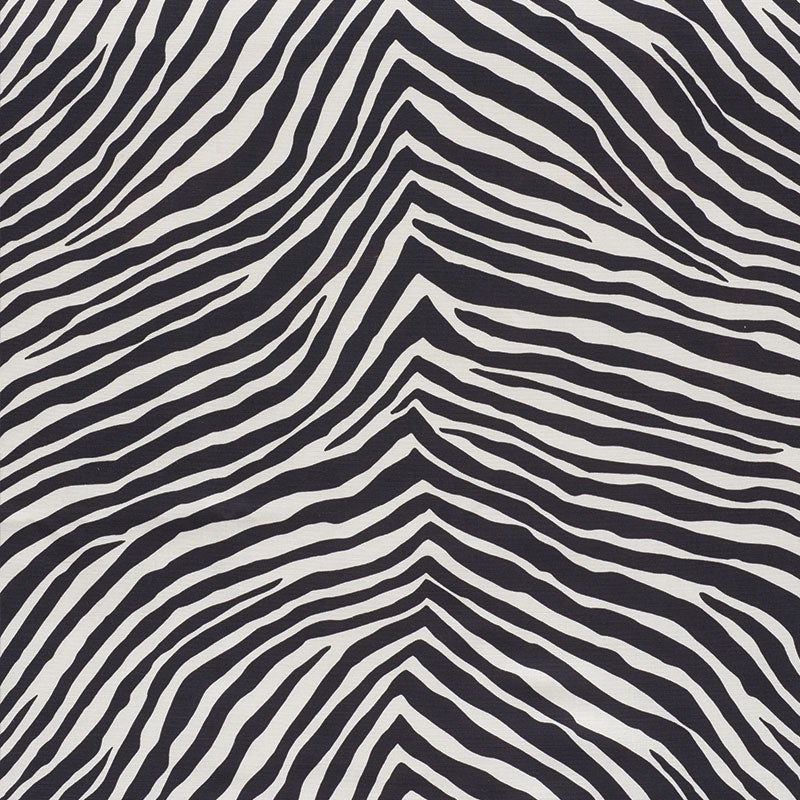Find 177443 Iconic Zebra Black by Schumacher Fabric
