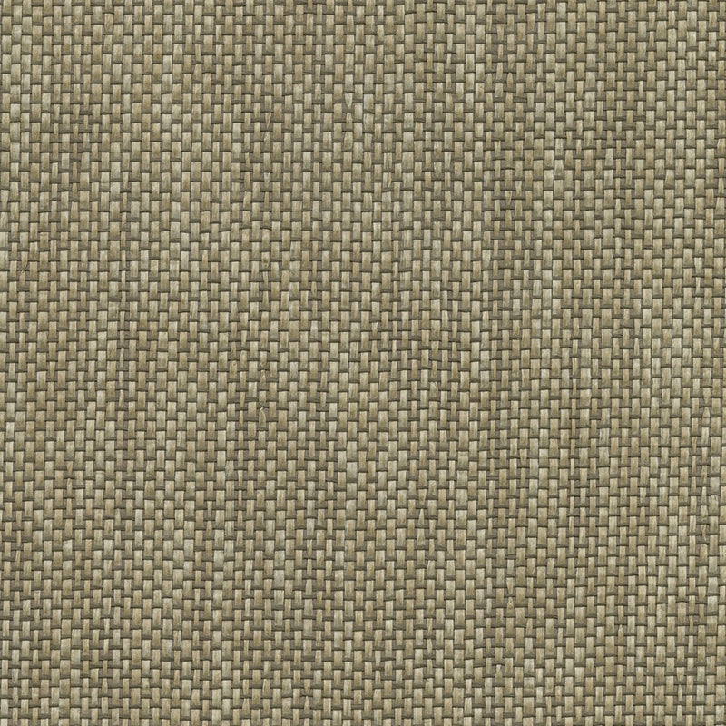 Sample 2732-80076 Canton Road, Gaoyou Khaki Paper Weave by Kenneth James Wallpaper