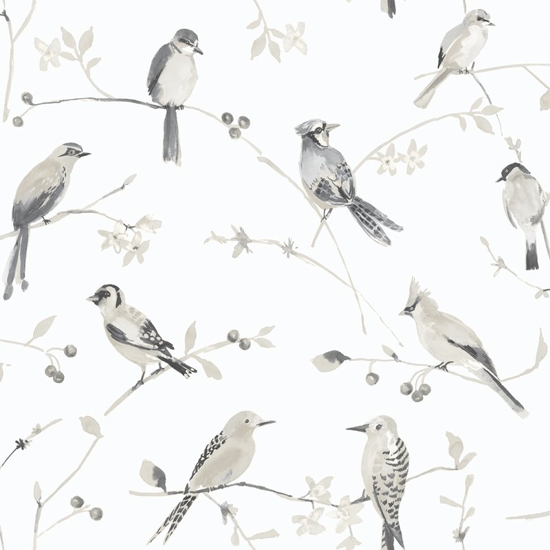 Shop 3124-13853 Thoreau Birdsong Grey Trail Wallpaper Grey by Chesapeake Wallpaper