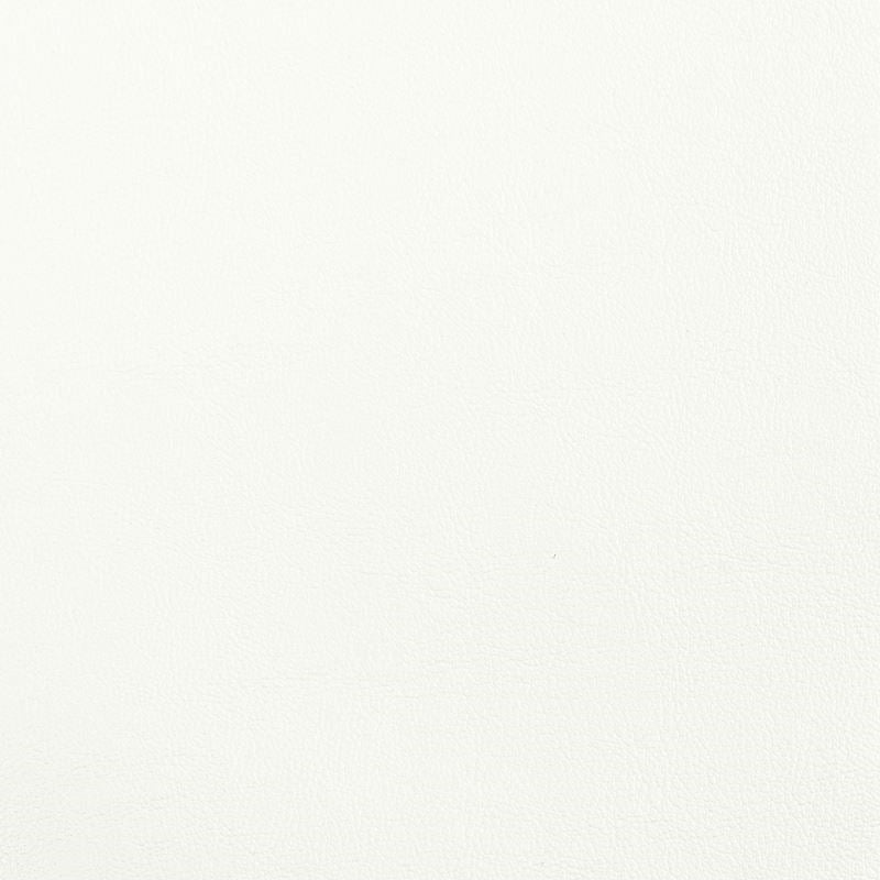 Sample ELBE-13 Elbert, Chalk Stout Fabric
