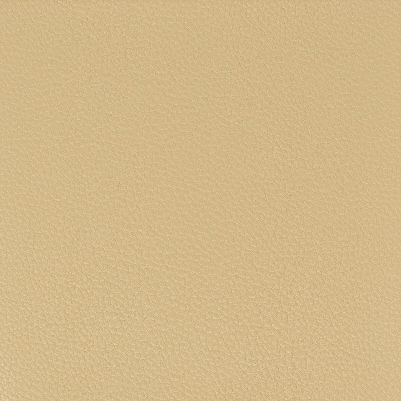 Sample Pitc-6 Pitcher 6 Camel By Stout Fabric