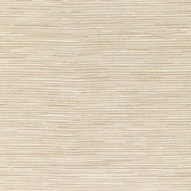 Save 2021104.16 Orozco Weave Alabaster Textured by Lee Jofa Fabric
