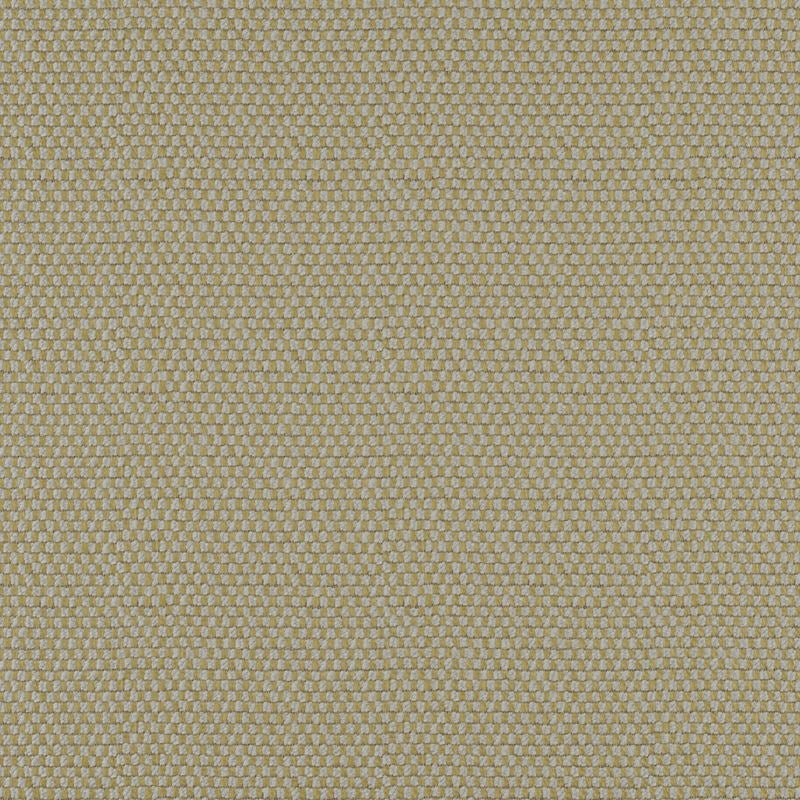 TQ9613 | Take Off Moss by Maxwell Fabric