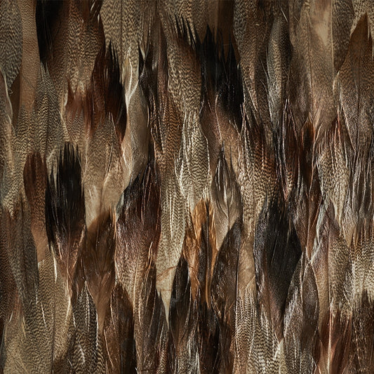 Acquire 5008406 Iridium Tail Schumacher Wallpaper