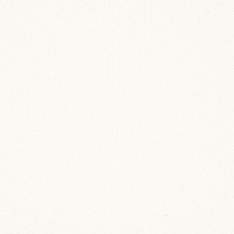 Sample OAKL-28 Optic/White by Stout Fabric