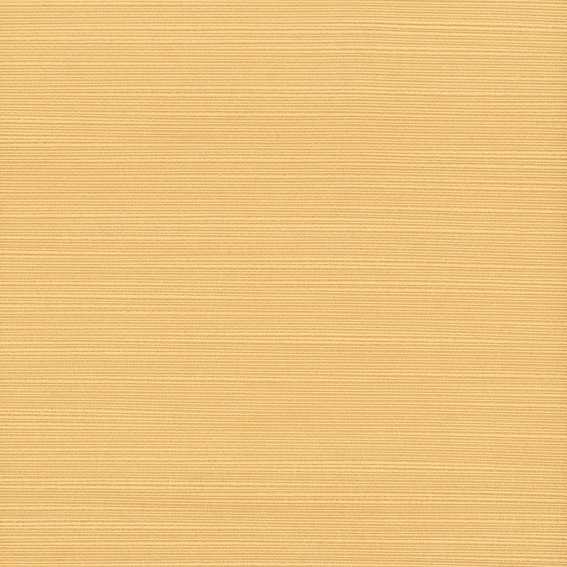 Sample ADMI-44 Butterscotch by Stout Fabric