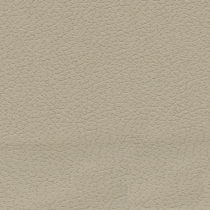 Purchase sample of 303-3946 Brisa, Sand by Schumacher Fabric