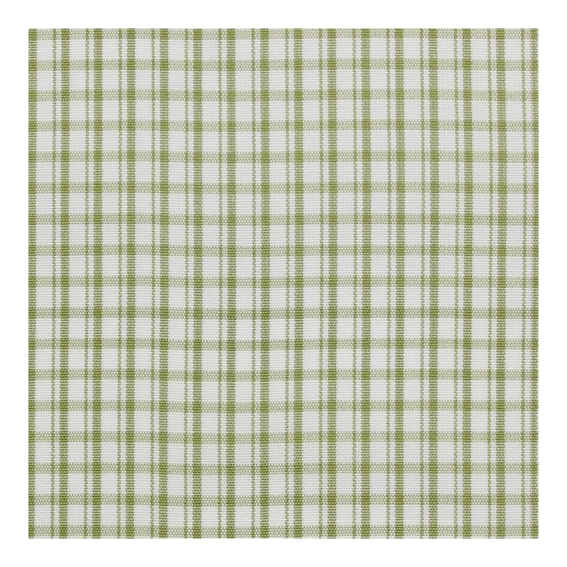 Looking 26983-005 Astor Check Leaf by Scalamandre Fabric