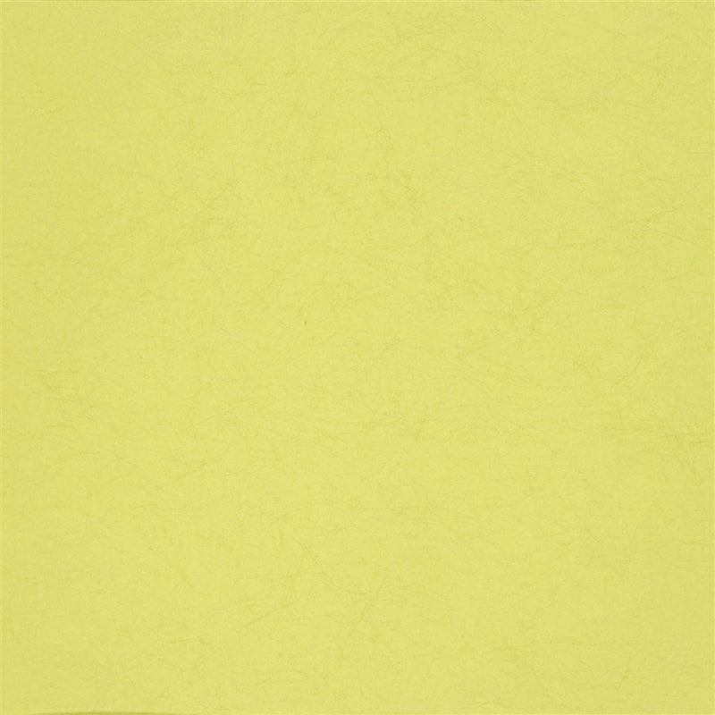 Buy P502/53 Ernani Chartreuse by Designer Guild Wallpaper