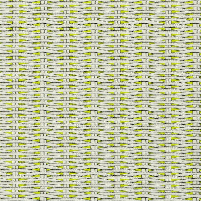 Acquire PCL664/05 Barbade Lime by Designer Guild Wallpaper