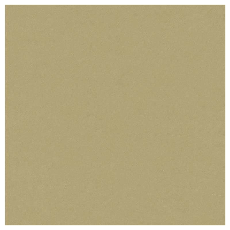 Shop 4070.1600.0  Solids/Plain Cloth Beige by Kravet Design Fabric