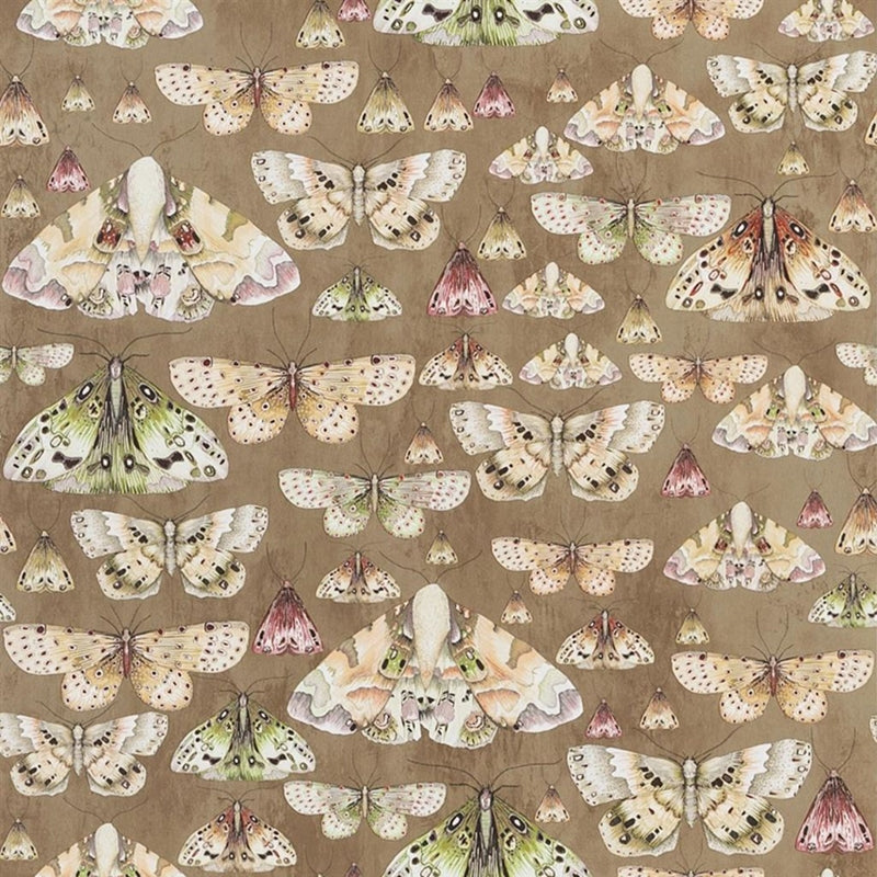 Sample PDG713-06 Issoria, Gold by Designer Guild Wallpaper