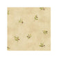 Sample KK26718 Creative Kitchens Olive Sidewall  Norwall Wallpaper