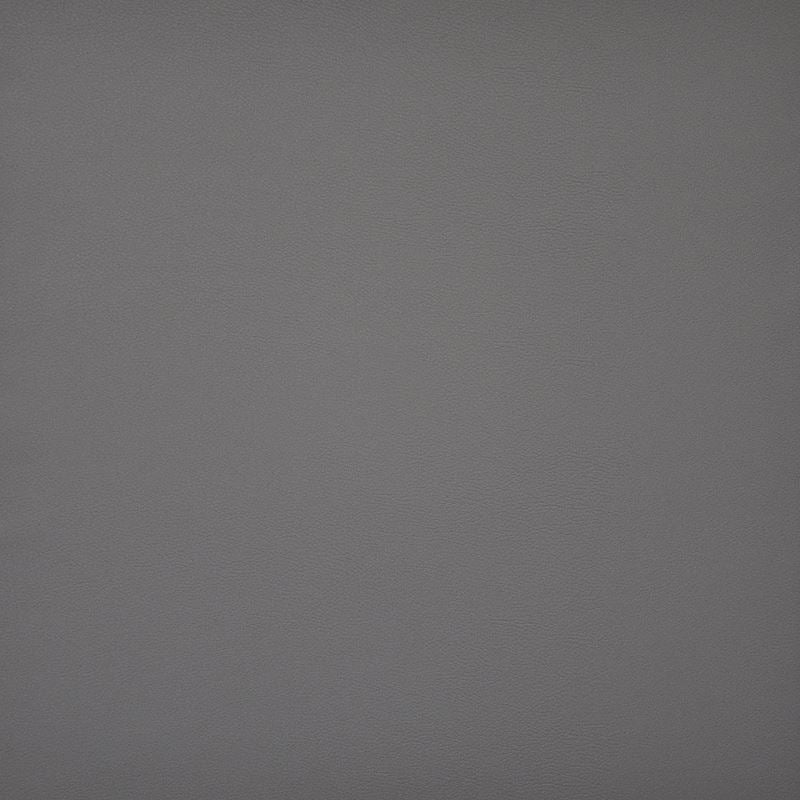 PU1706 | Pinto Flintstone by Maxwell Fabric