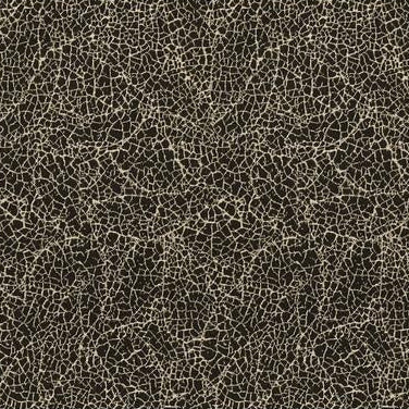 Buy GWF-3419.8.0 Breakwater Black Modern/Contemporary by Groundworks Fabric