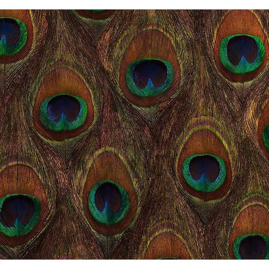 Purchase 5008370 Peacock Ore Peacock Schumacher Wallpaper