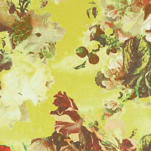 View WH000023301 Flamboyant Pollen by Jean Paul Gaultier Wallpaper