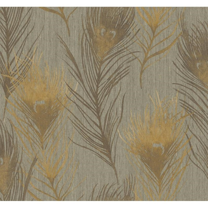 Shop CB10108 Arnott Brown Feathers by Carl Robinson Wallpaper
