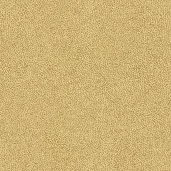 Find ABILENE.16.0 Abilene Dune Skins Ivory by Kravet Contract Fabric