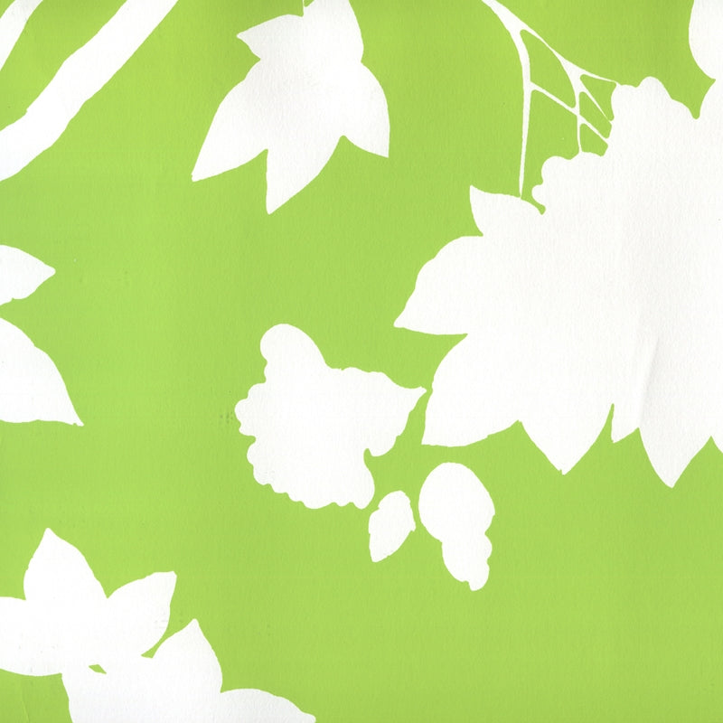 Acquire 306186W Happy Garden Background Jungle Green On White by Quadrille Wallpaper
